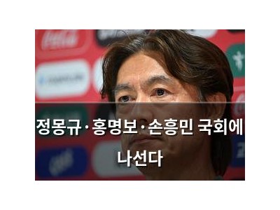 정몽규·홍명보·손흥민 국회에 나선다