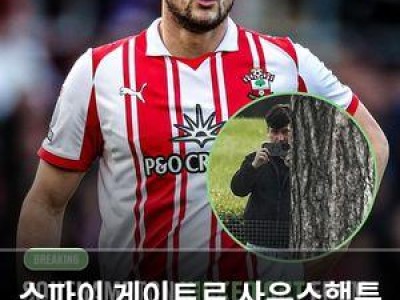 스파이 게이트로 사우스햄튼 플레이오프 퇴출