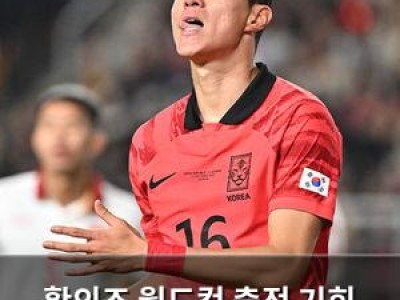 황의조 월드컵 출전 기회 요구 감형 요청