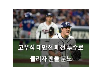 고우석 대만전 패전 투수로 몰리자 팬들 분노