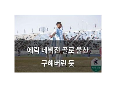 에릭 데뷔전 골로 울산 구해버린 듯