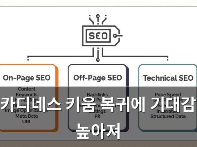 카디네스 키움 복귀에 기대감 높아져