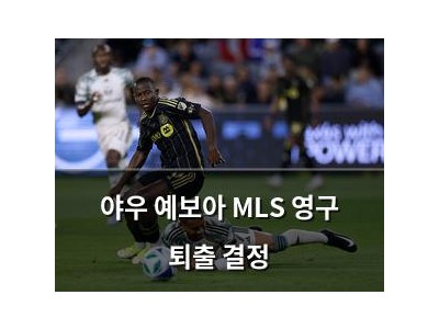 야우 예보아 MLS 영구 퇴출 결정