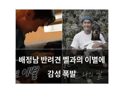 배정남 반려견 벨과의 이별에 감성 폭발