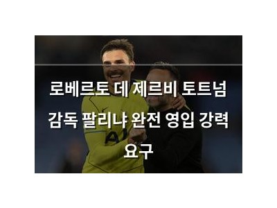 로베르토 데 제르비 토트넘 감독 팔리냐 완전 영입 강력 요구