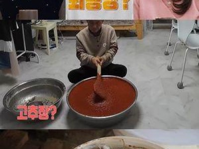 오은영 리포트 결혼 지옥에 가수 활동 고민하는 유명 인사
