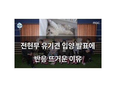 전현무 유기견 입양 발표에 반응 뜨거운 이유