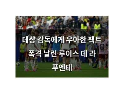 데샹 감독에게 우아한 팩트 폭격 날린 루이스 데 라 푸엔테