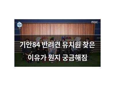 기안84 반려견 유치원 찾은 이유가 뭔지 궁금해짐