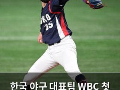 한국 야구 대표팀 WBC 첫 상대 체코에 도전