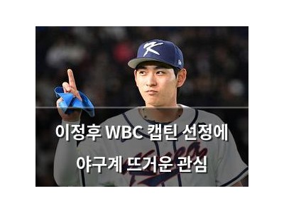 이정후 WBC 캡틴 선정에 야구계 뜨거운 관심