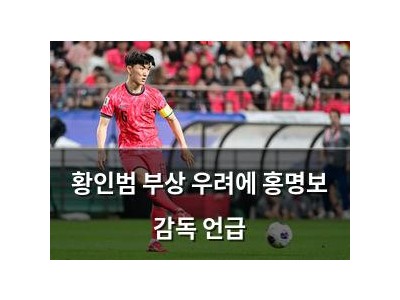황인범 부상 우려에 홍명보 감독 언급