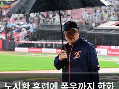 노시환 홈런에 폭우까지 한화 이글스 기세 끝판왕